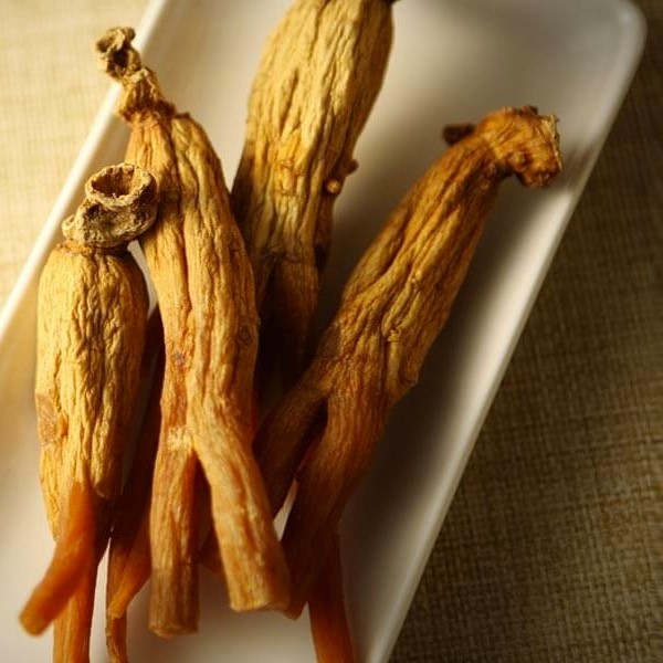  홍삼엑기스 비교할 수 없는 퀄리티