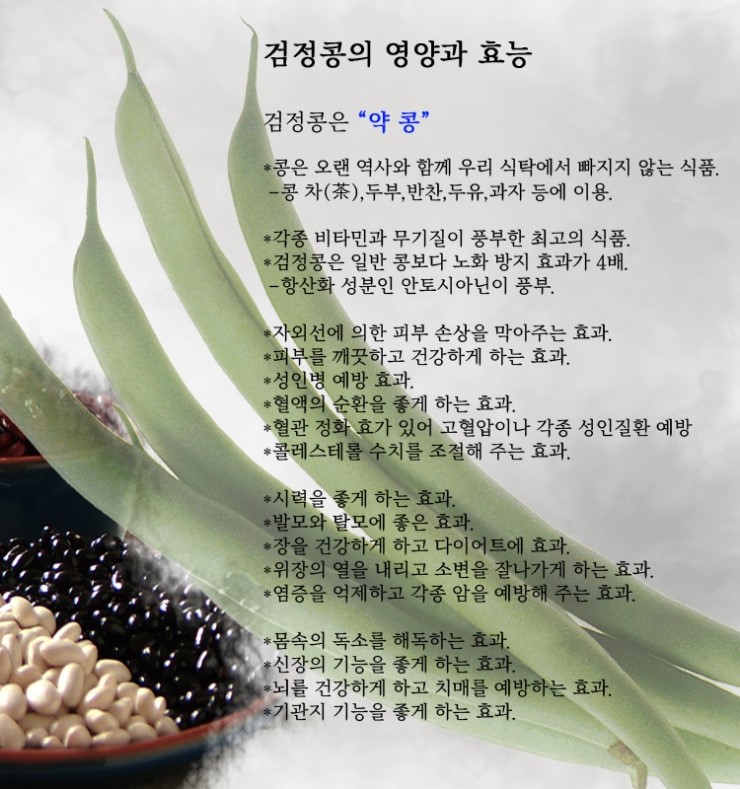  검정콩의 영양과 효능