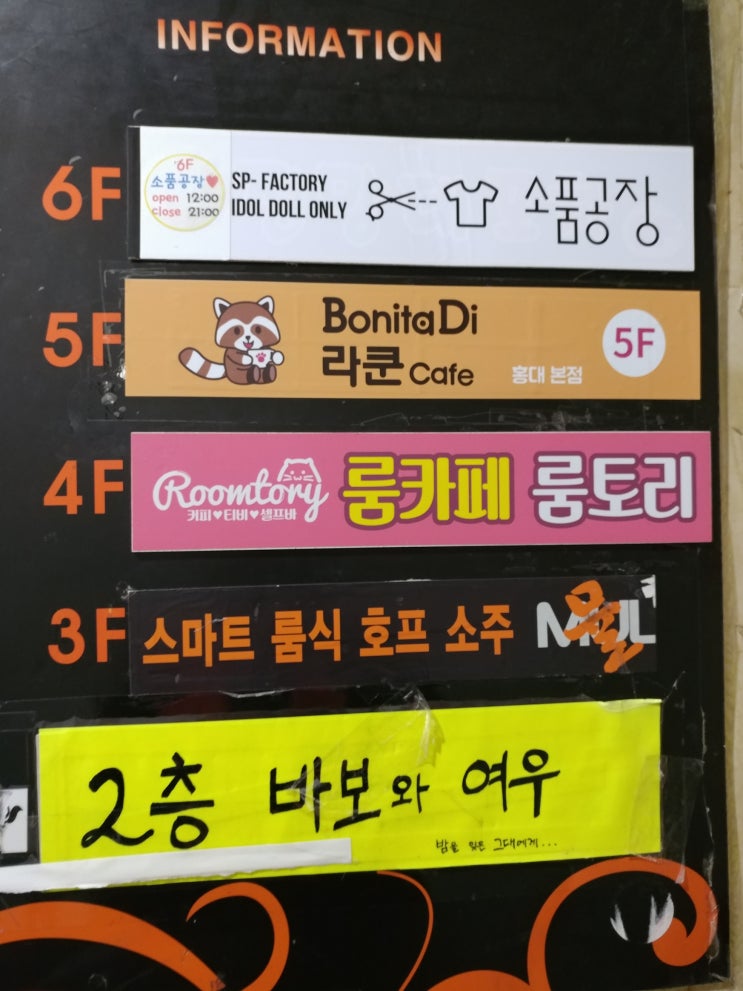  [박로하] 홍대라쿤카페/홍대데이트코스/이색카페/홍대놀거리