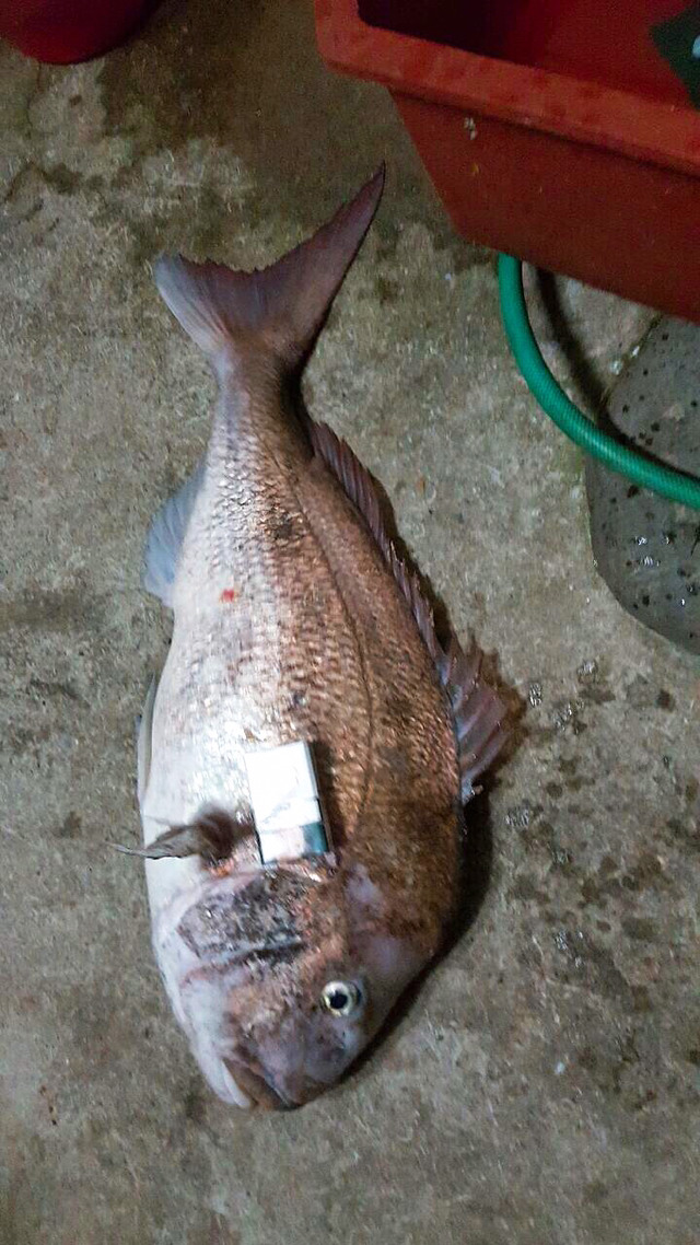  가파도 상동펜션