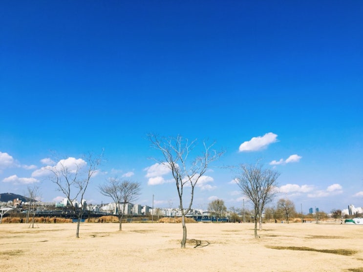  세빛섬을 가다~~~~!!!!!!