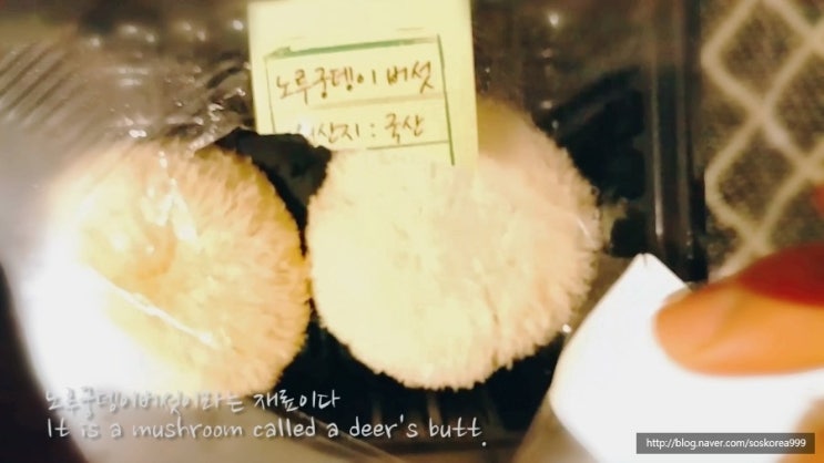  [노루궁뎅이버섯] 처음보는 신기한 재료 솜뭉텅이?
