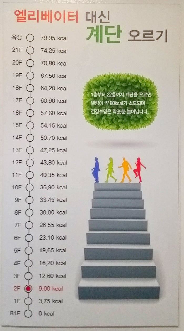 계단오르기 운동 효과! 건강에 좋은 것 아시죠 ~~! : 네이버 블로그 계단오르기 운동 효과! 건강에 좋은 것 아시죠 ~~! : 네이버 블로그