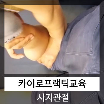  카이로프랙틱 사지관절