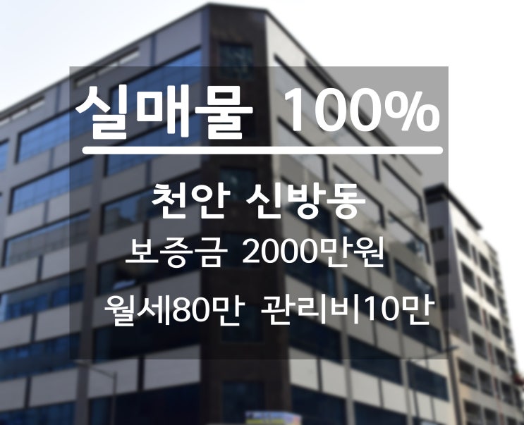  천안쓰리룸월세, 복도식으로 쭉 뻗은 탁트인 주인세대