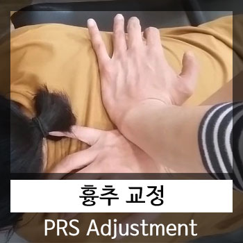  카이로프랙틱 간스테드 흉추 분석