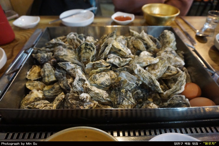 양천구 목동 맛집, 푸짐한 굴찜이 맛난 - "용포차"