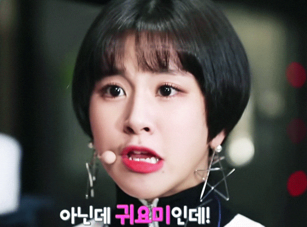 [TWICE] 彩瑛照片：短髮合集