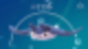 만타인 라이딩,만타인 2세대,만타인 샘플,만타인 4세대,만타인 이로치,만타인 서핑 팁,만타인 기술,만타인 진화,만타인 강의,만타인 서핑,