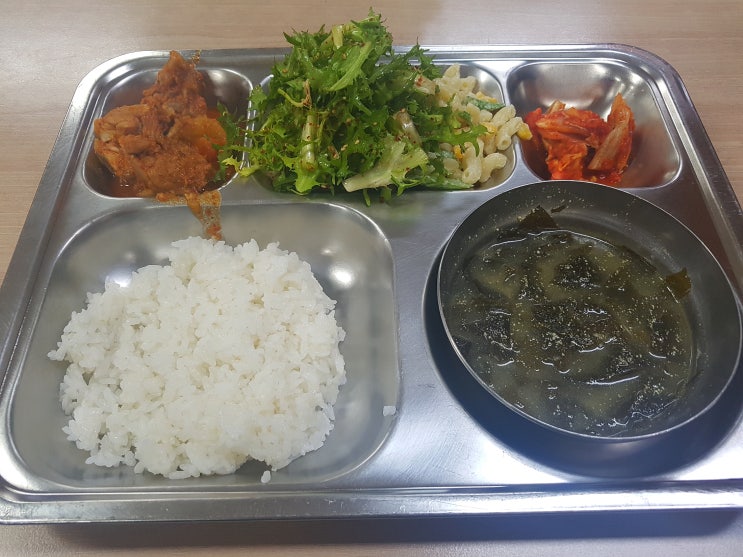 구내식당 탐방 - 양천구청 구내식당