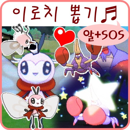  포켓몬스터 썬 문 이로치 확률 국제교배, 도움요청 연쇄 확률정리