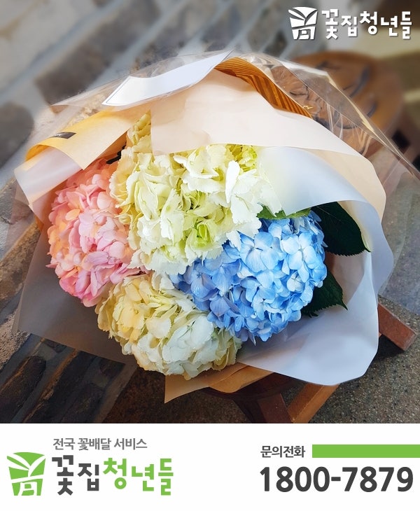 강남꽃배달 여자친구 꽃선물☆꽃집청년들 : 네이버 블로그