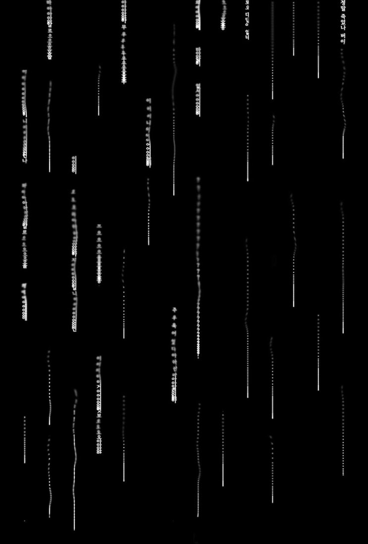  [Typography] 2016, 2학기 책의 글귀 시각화