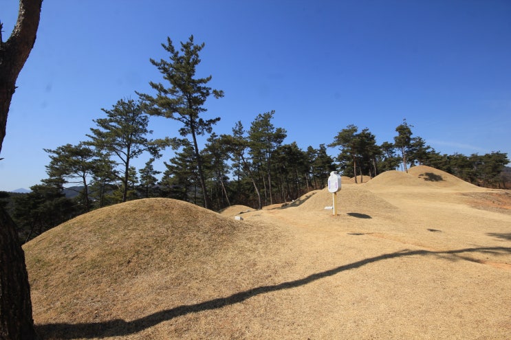 순장문화의 고령 지산동 고분군을 다녀오면서