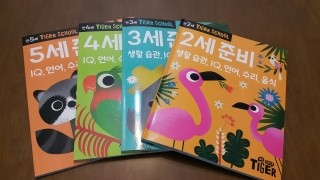  [난독증/교재]TIGER SCHOOL