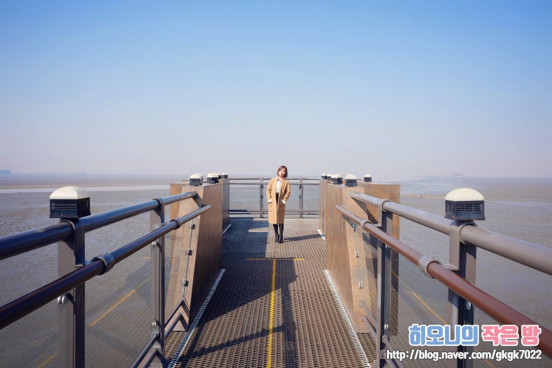 충남 가볼만한 곳 서천 장항 스카이워크 / 스카이워크 근처 장항 맛집 '다옴 해물칼국수' 추....
