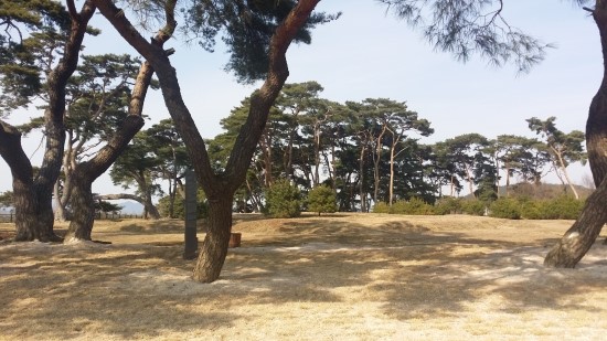  경주 나정 - 박혁거세 설화 탄생지