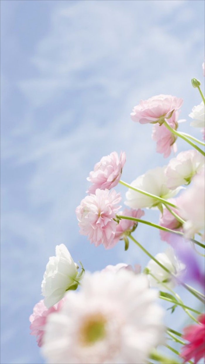 폰배경화면] 꽃배경, 예쁜배경, 봄배경화면 사진 두번째!!! : 네이버 블로그