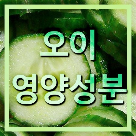  오이의 영양성분과 효능 및 좋은 오이 고르는법