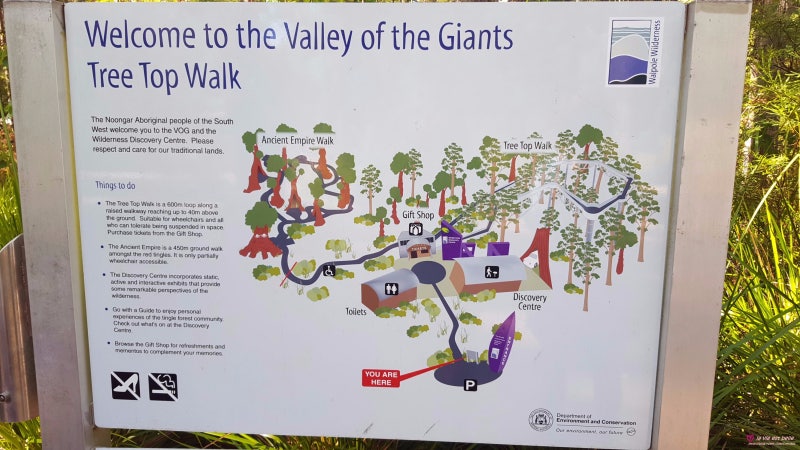 서호주 / WA 여행 ; 덴마크 트리탑 (Valley of the Giants Tree Top Walk. Denmark ...