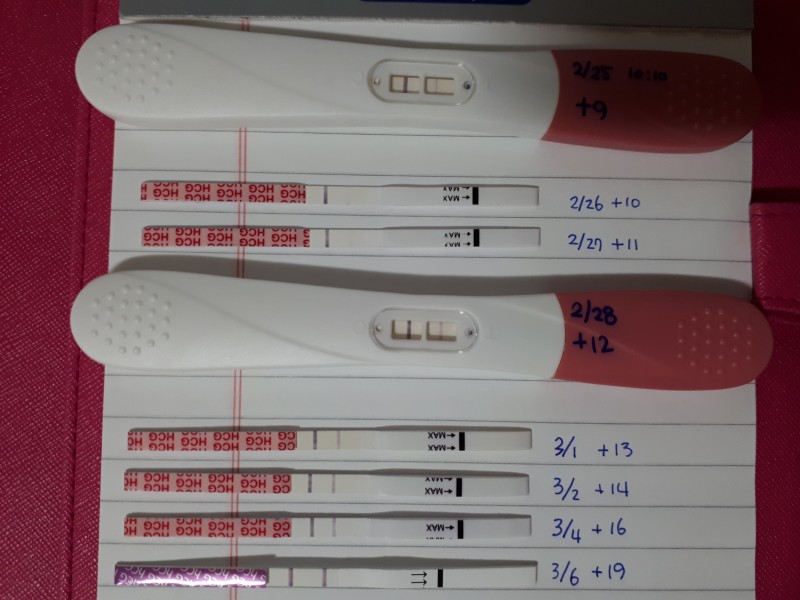 임신 테스트기