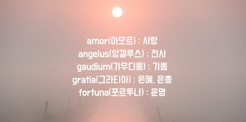 라틴어 예쁜단어 모음들 : 네이버 블로그 라틴어 예쁜단어 모음들 : 네이버 블로그