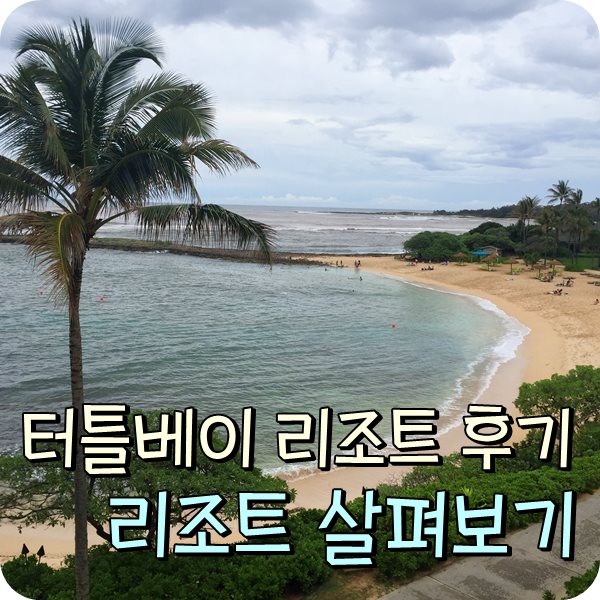  하와이 오아후 호텔. 노스쇼어 터틀베이 리조트 후기. 리조트 안내