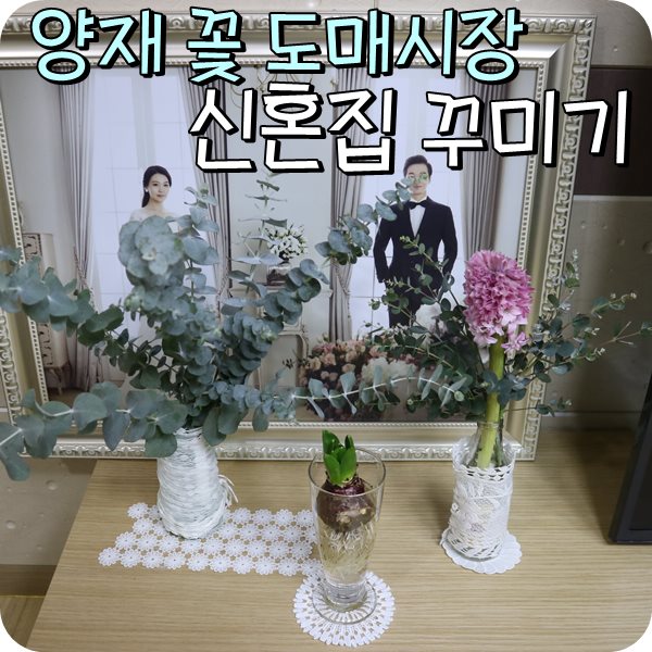  양재 꽃시장 후기. 화훼공판장 건물별안내. 가격정보.