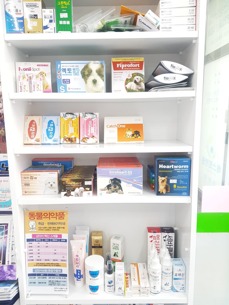  우리함께동물약국 동물약 입고! / 동물약 / 심장사상충약 / 구충제 / 귓병약 / 피부약 / 달서구동물약 / 대구동물약 / 두류동동물약 / 광장코아동물약 / 야당 / 두류공원