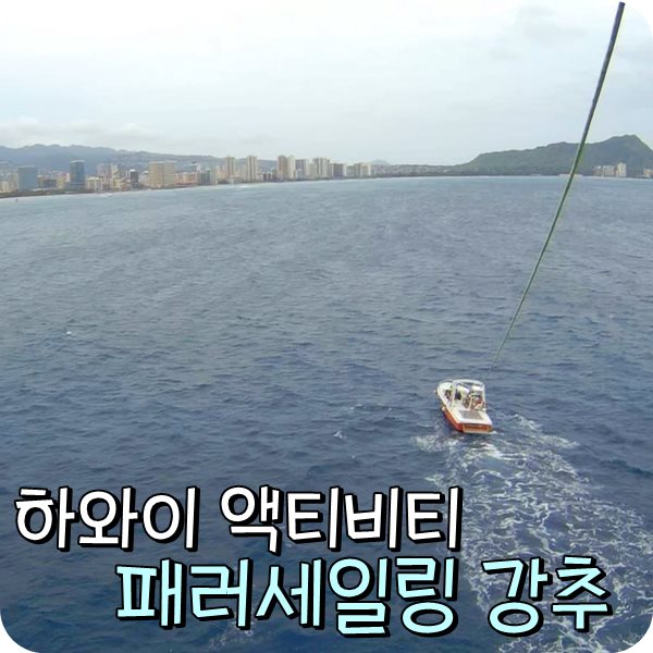  하와이 신혼여행 액티비티. 가자하와이 패러세일링 후기.