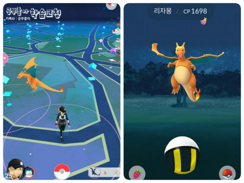 포켓몬고 희귀포켓몬 위치 둥지 실시간 사이트 네이버 블로그