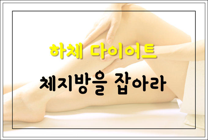 하체 다이어트 체지방분해하면 더 잘 빠져