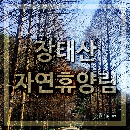 대전의 여행코스, 장태산 자연휴양림