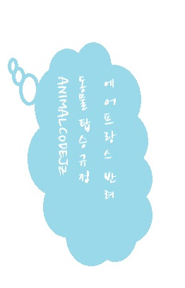  에어프랑스 애완동물 강아지 고양이 탑승규정 (동반으로 강아지 고양이 프랑스 유럽데려가기)
