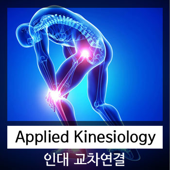  Applied kinesiology 인대 교차연결(ligament interlink)