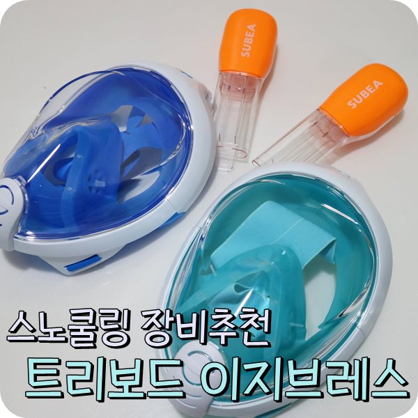  스노쿨링 장비 추천. 데카트론 트리보드 이지브레스 후기, 가격정보