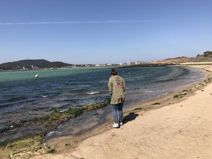  3박 4일..사진으로 보는 무작정 제주도 여행기(3)