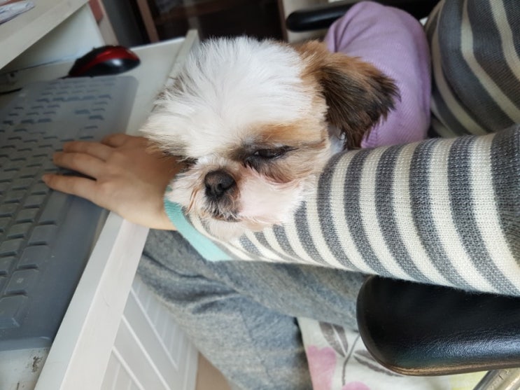  '라라' 예요 콩시츄 귀요미 등극~~