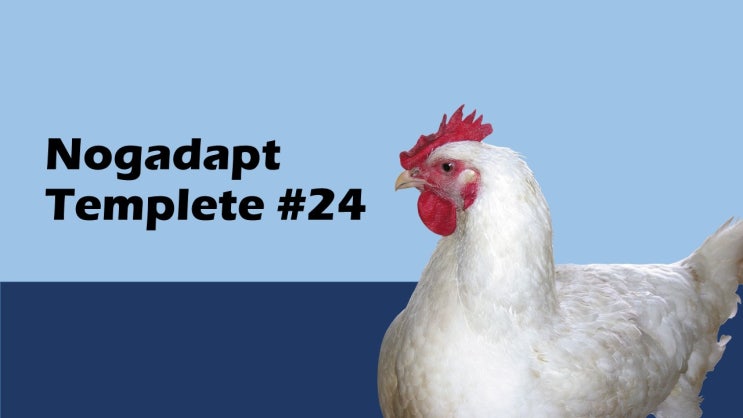 템플릿습작#24 - 닭