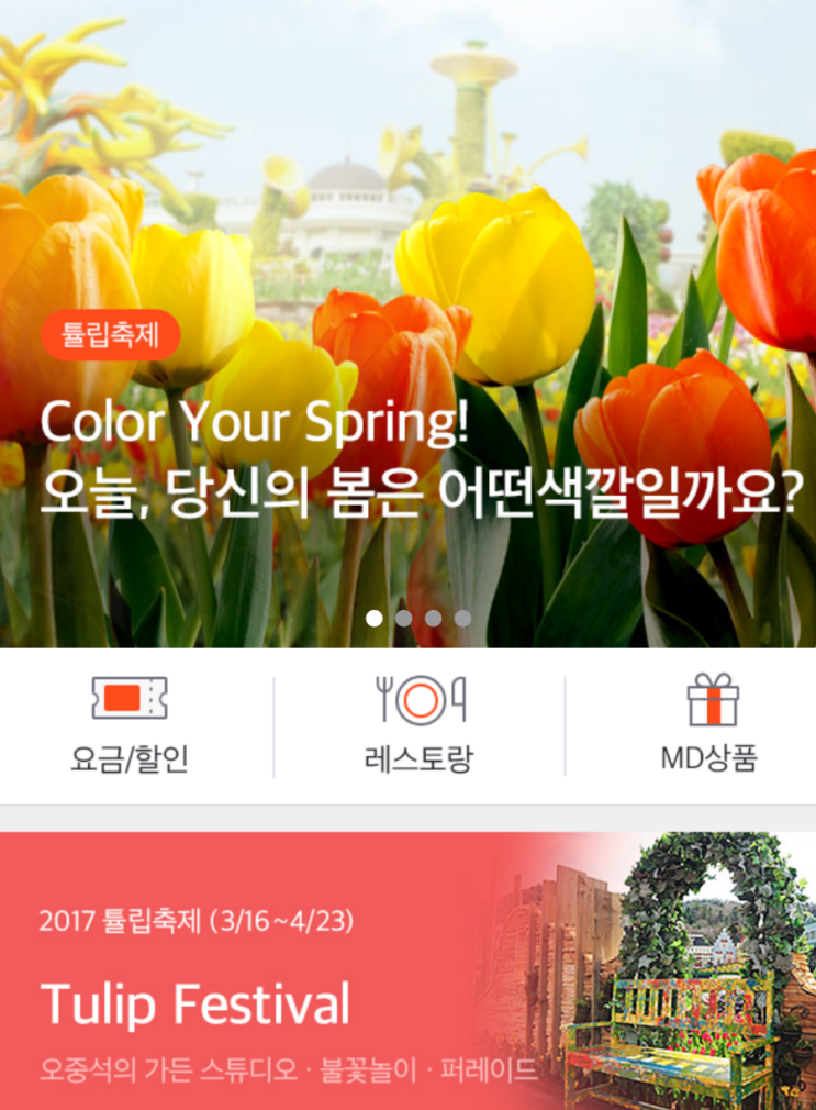 에버랜드 2017년 튤립축제 에버랜드 2017년 튤립축제