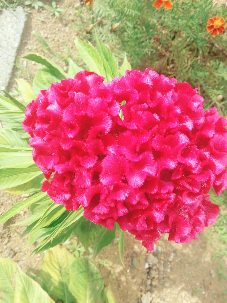  그냥찍어봄