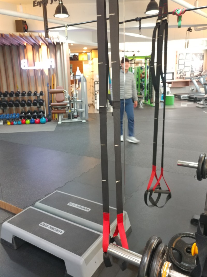 여자 등 운동! TRX 로우 운동으로 숨막히는 뒷태라인 쉽게 만들어봅시다 : 네이버 블로그