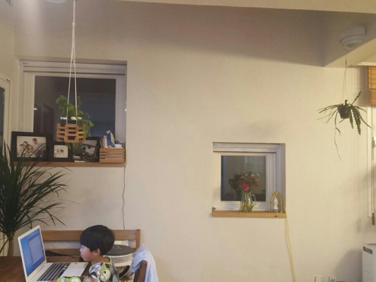  가정살림 추천2