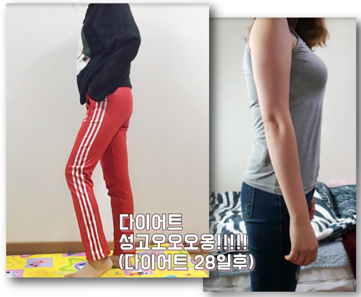 이훈 다이어트 도시락 냠냠 운동없이 살빼기 성공이닷