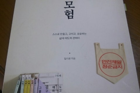 릴리쿰 이미지
