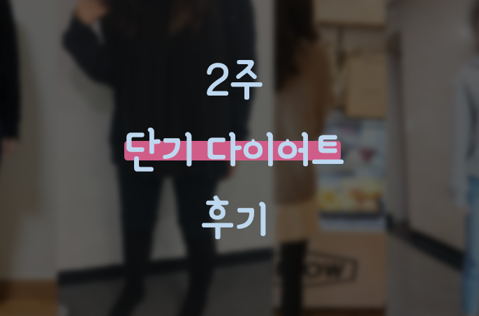  2주 단기 다이어트 정말 먹어도좋아 떤 나의 다이어트 성공담