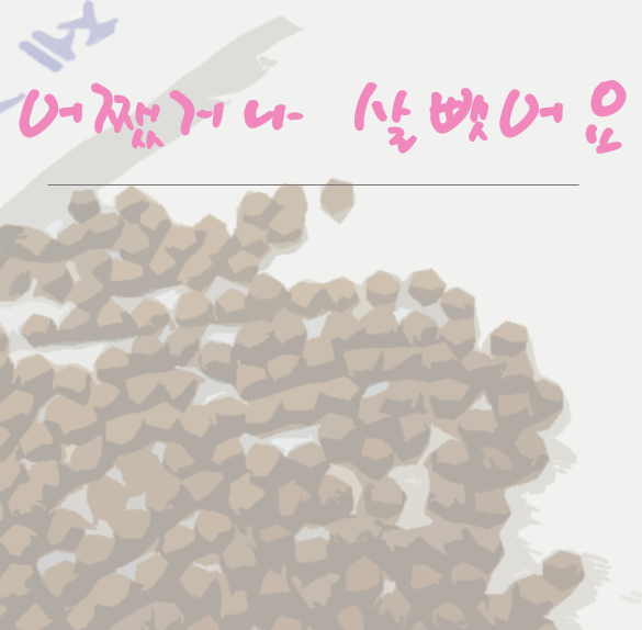  식욕억제 한약 나의 솔직한 한약 다이어트 후기