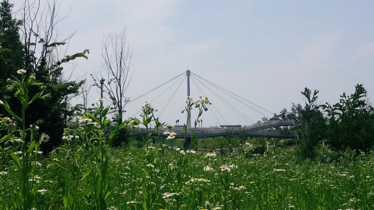  그냥찍음