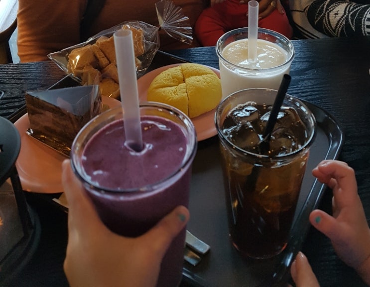  조카들과 콜리봉봉 방문기