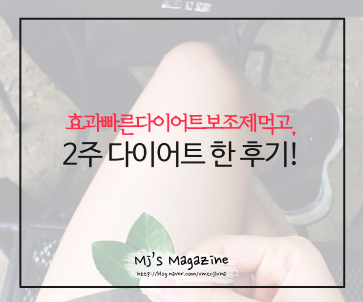 효과빠른 다이어트식품 먹고! 2주 다이어트 후기